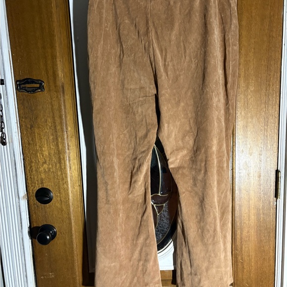 Aerie Tan Corduroy Pants - Picture 2 of 7